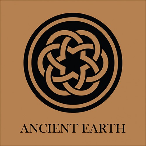 Ancient Earth Timber Dental Kit x 100 - Image 7