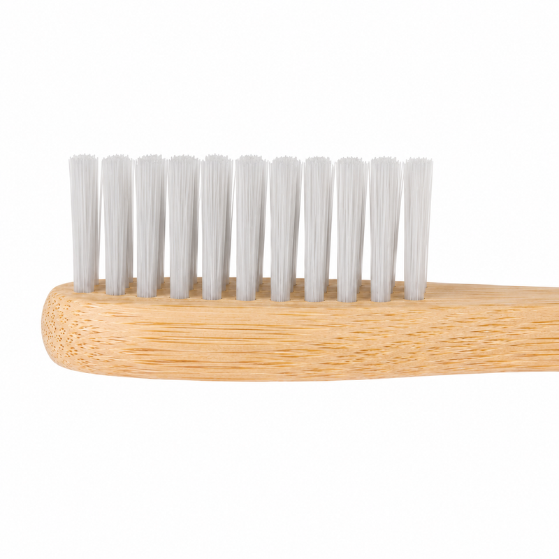 Ancient Earth Timber Dental Kit x 100