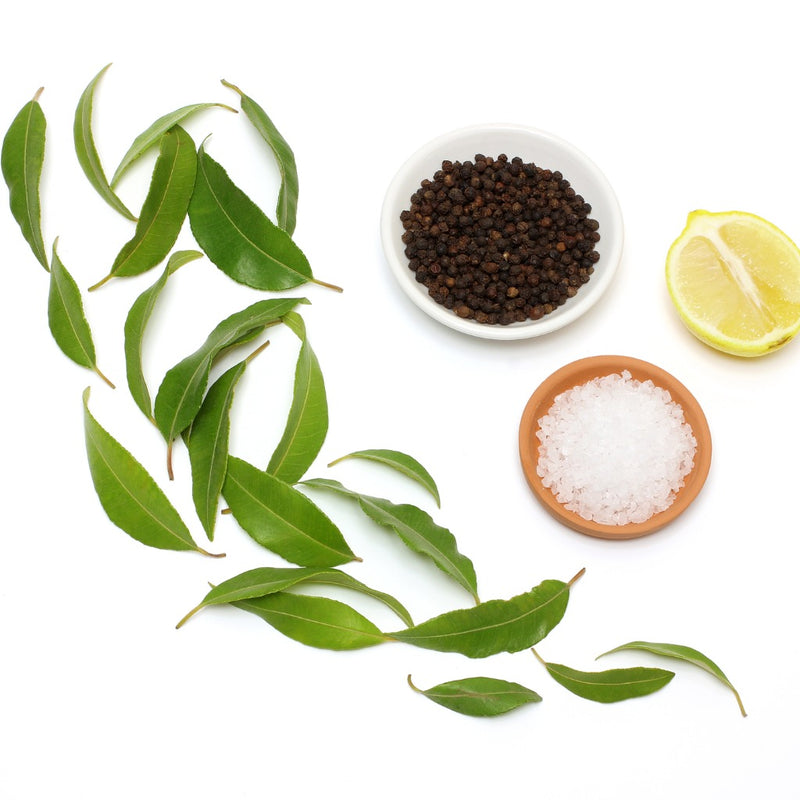 lemon-myrtle-peppercorns-lemon-and-salt-picture-id1218799084 (1)