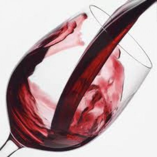 Wolf Blass Red Label Shiraz Cabernet 187ml x 12 - Image 2