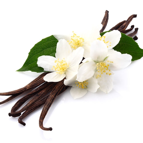 Vanilla Oil Diffuser 50ml + 8 Rattan Sticks - Image 2