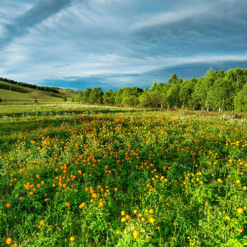 Reveal Cleansing Shower Gel 30ml x 50 - Image 3