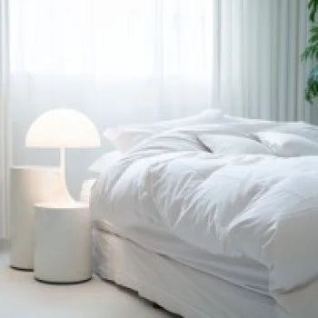 Quilt and Duvet Inserts