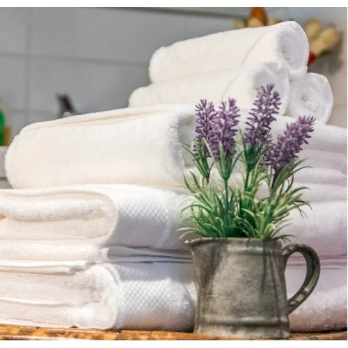 Premium Egyptian Cotton White Towelling