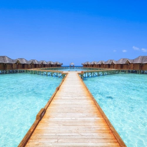 Beach House Surfers Starter Pack - Image 3