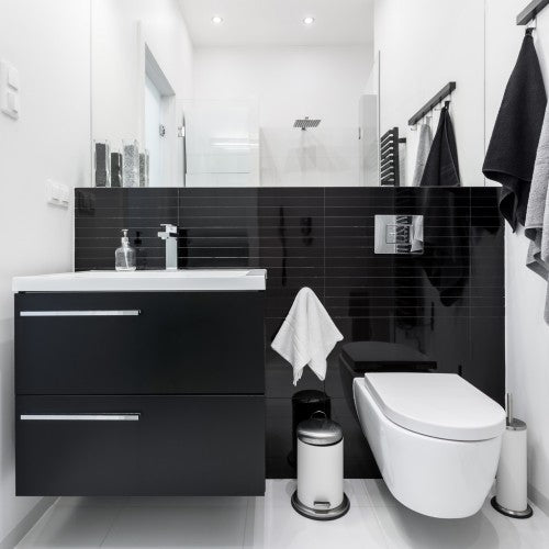 Black-and-white-bathroom-interior