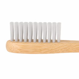 Ancient Earth Timber Dental Kit x 100