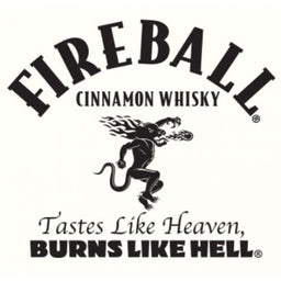 Fireball Cinnamon Whiskey 50ml x 10 - Image 4