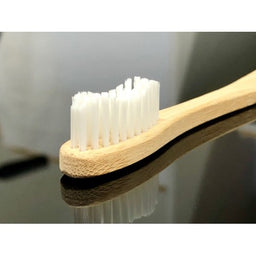 Ancient Earth Timber Dental Kit x 100 - Image 2