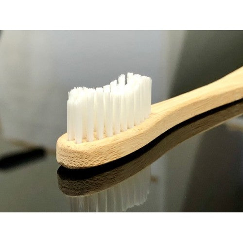 Ancient Earth Timber Dental Kit x 100 - Image 2