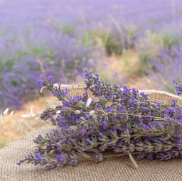 Homebright Gel Soild Air Freshener Lavender - Image 2