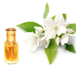 MOR SG Fragrance-500×500