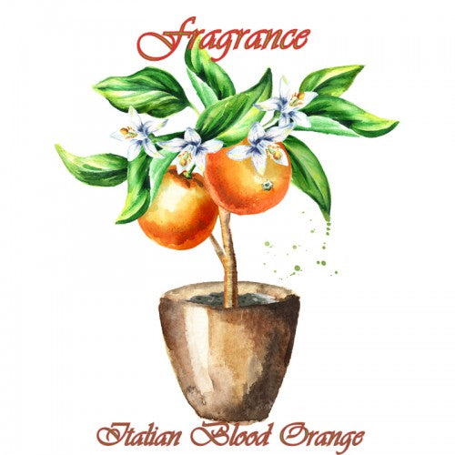 Saville Row complete Travel Pack - Image 3