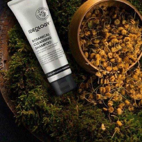 Shampoo 1-500×500