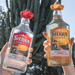 Sierra Tequila Blanco 50ml x12 - Image 2