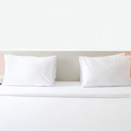 Single Bed  Egyptian Cotton Fitted Sheet - Image 2