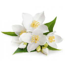 Saville Row 40 gm Soap x 100 - Image 3