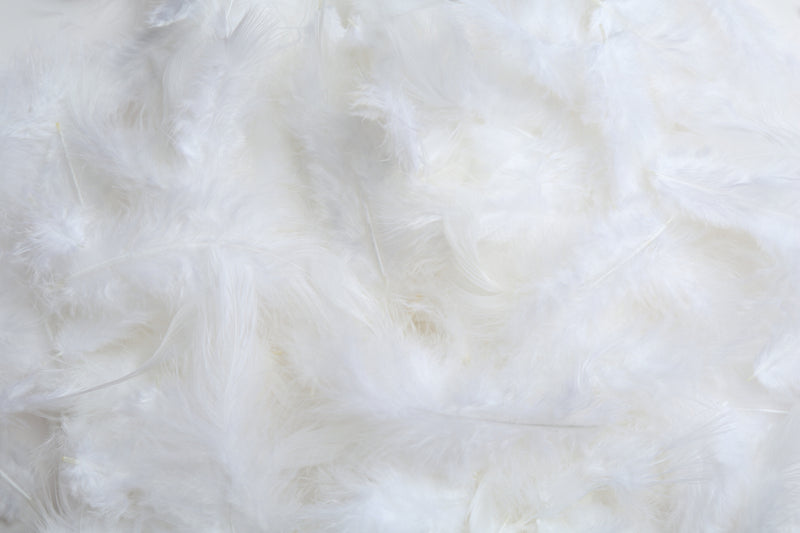 Deluxe Duck Down Feather KING Pillow - Image 4