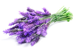 Lavender Room Spray - Image 2