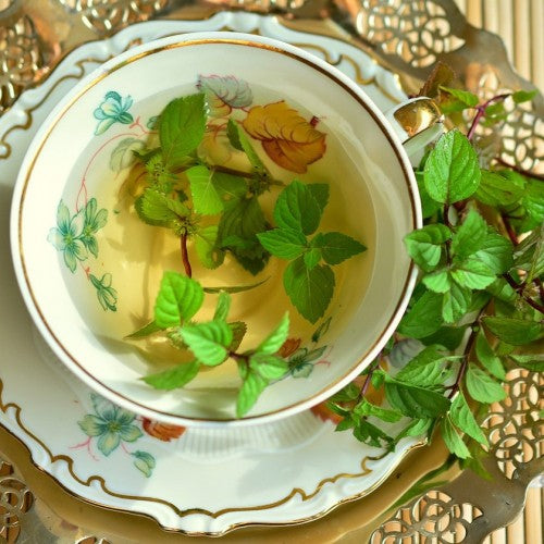 La Maison Du The - Peppermint Tea 24s - Image 3