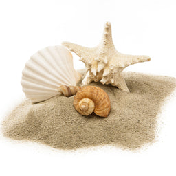 Beach House Coconut Fizz Bath Salts 50 x 50gm - Image 6