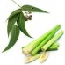 Lemongrass & Eucalyptus Oil Diffuser 50ml + Rattan Sticks