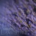 Lavender Reed Diffuser Refill 200ml