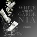White Gardenia 30ml Body Lotion x 50