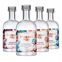 Brogan's Way Gin Taster Gift Pack 50ml x 4