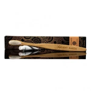 Ancient Earth Timber Dental Kit x 100