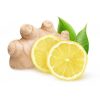 Aurora Lemon & Ginger Tea x 25 - Image 3