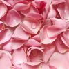 MOR CP Kashmir Petals Hand & Body Wash 350ml - Image 3